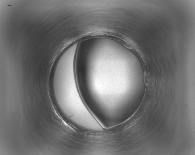 X0000056310485200508260829