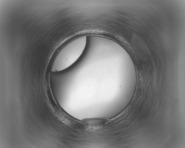X0000056310487200508260829
