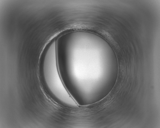 X0000056310488200508260829