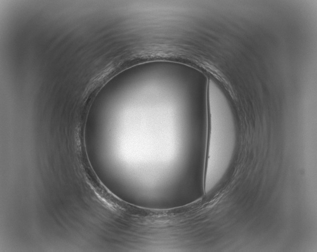 X0000056310489200508260829