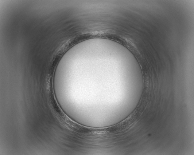 X0000056310495200508260828