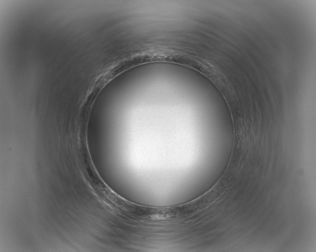 X0000056310496200508260828
