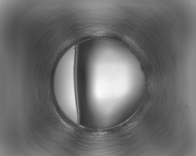 X0000056310497200508260828