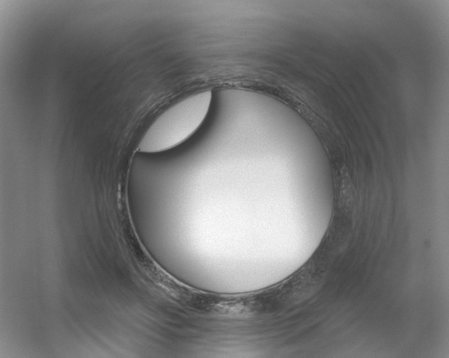 X0000056310502200508260828