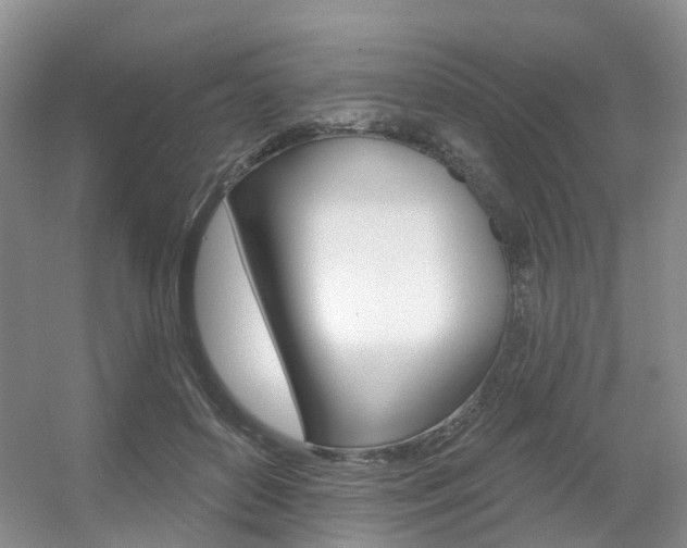 X0000056310504200508260828