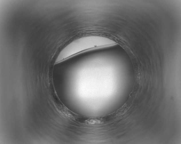 X0000056310512200508260828