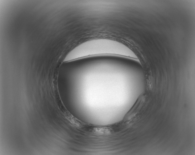 X0000056310520200508260828