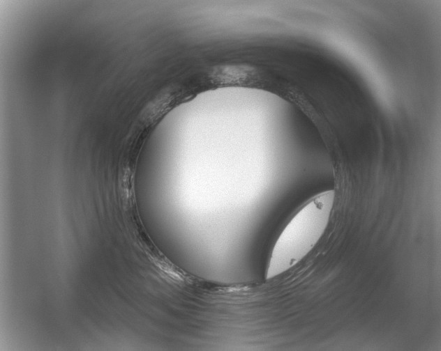 X0000056310525200508260828