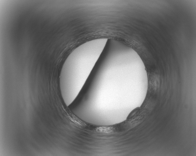 X0000056310526200508260828
