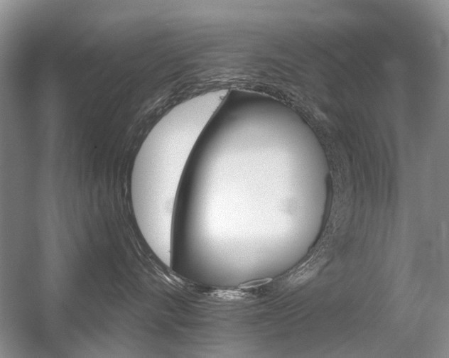 X0000056310528200508260828