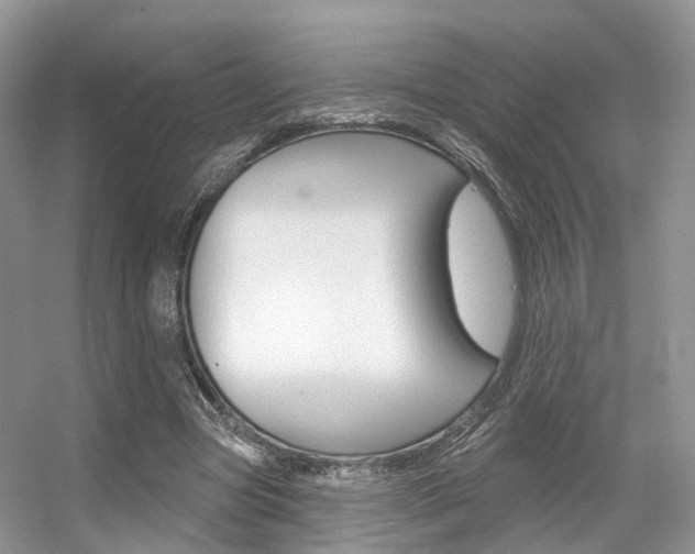 X0000056310537200508260827