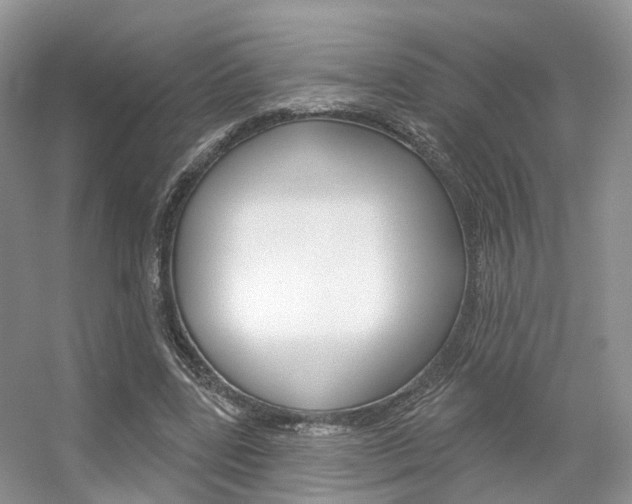 X0000056310539200508260827