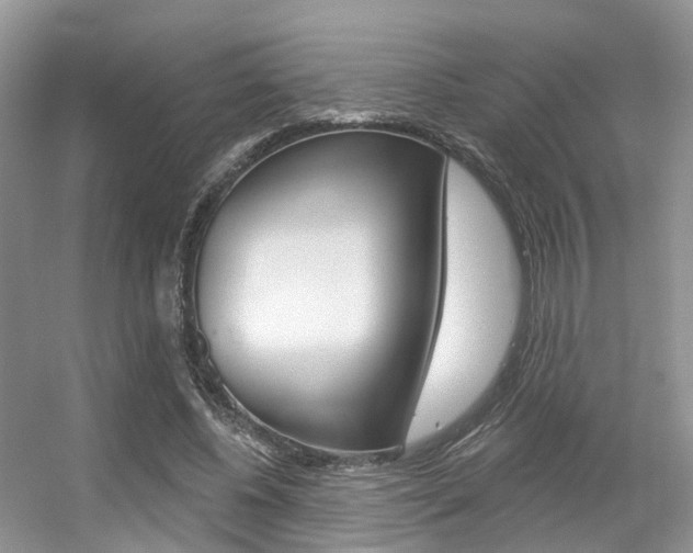 X0000056310540200508260827