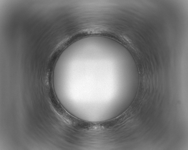 X0000056310543200508260827