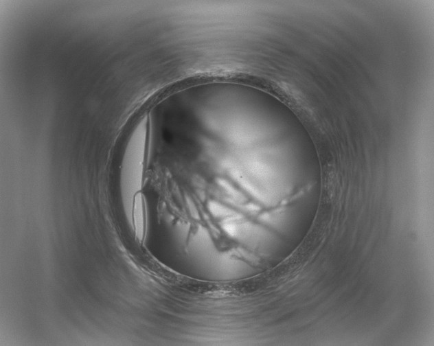 X0000056310544200508260827