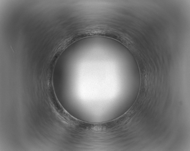 X0000056310546200508260827