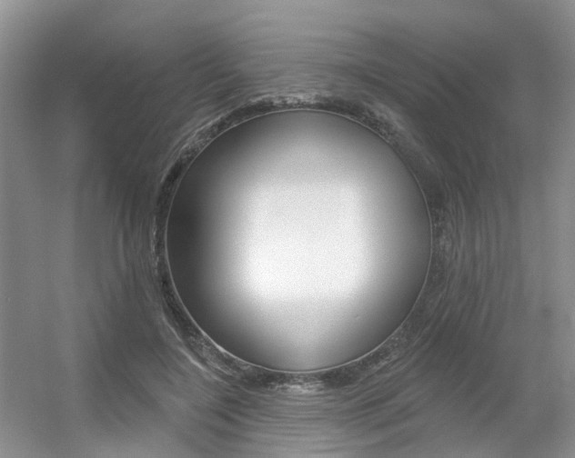 X0000056310548200508260827