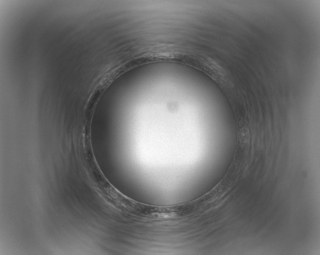 X0000056310552200508260827