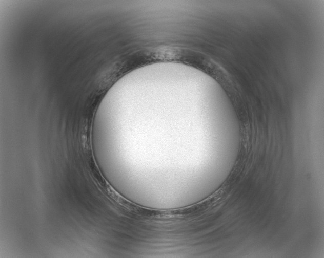 X0000056310553200508260827