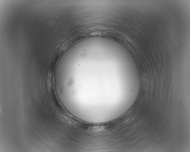 X0000056310554200508260827