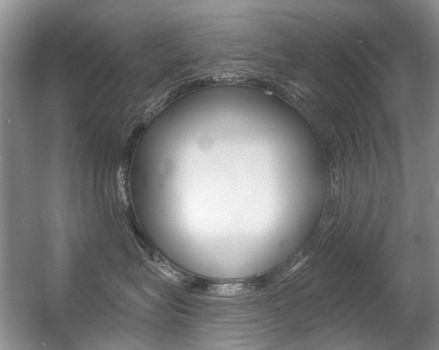 X0000056310575200508260828