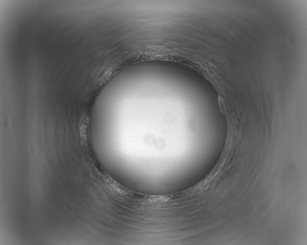 X0000056310576200508260828