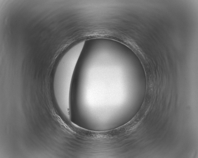 X0000056310585200508260827