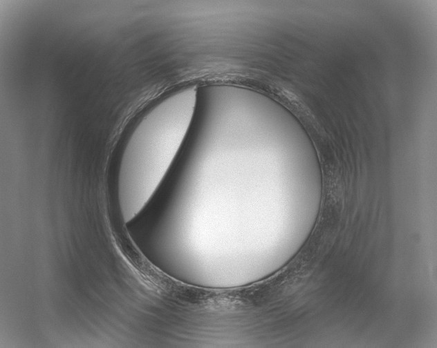 X0000056310586200508260827