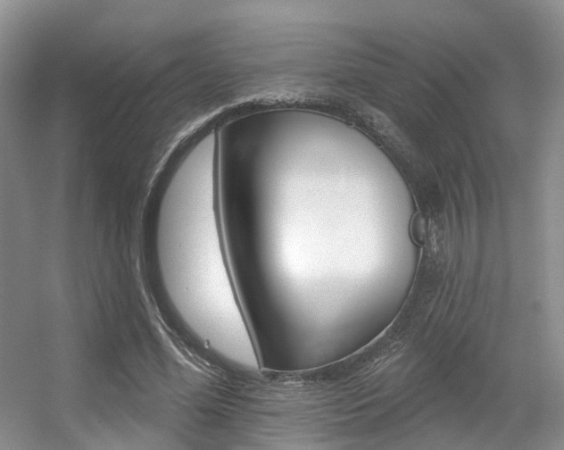 X0000056310588200508260827