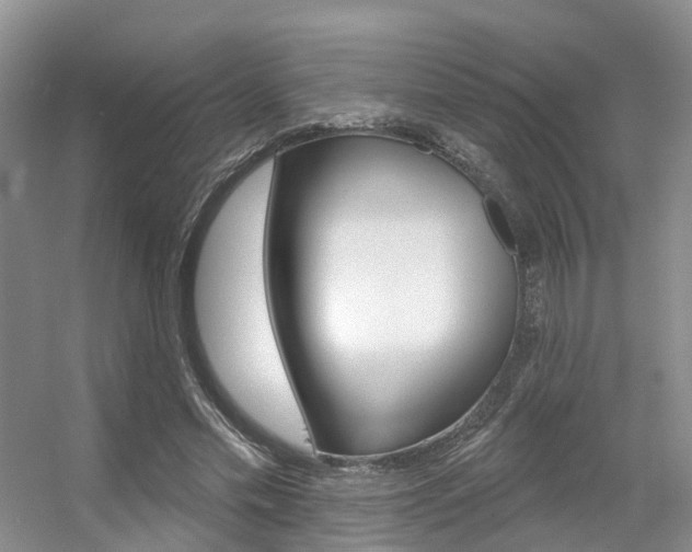 X0000056310589200508260827