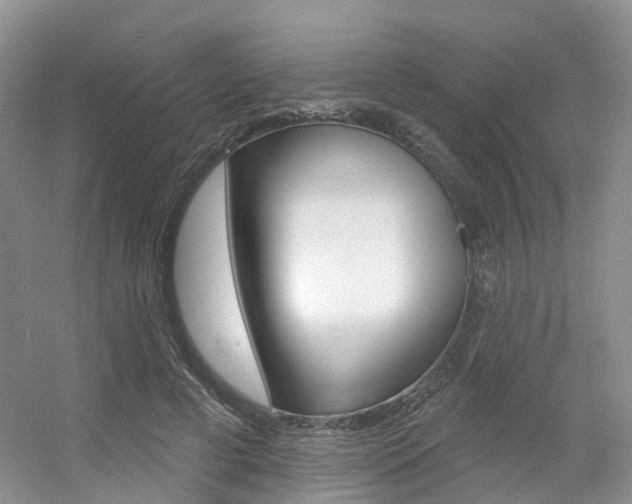 X0000056310593200508260827