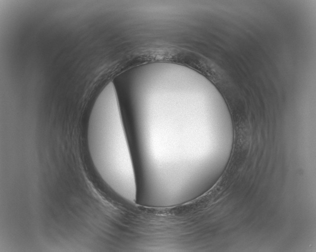 X0000056310594200508260827