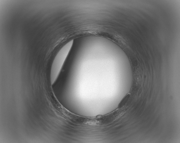 X0000056310595200508260827