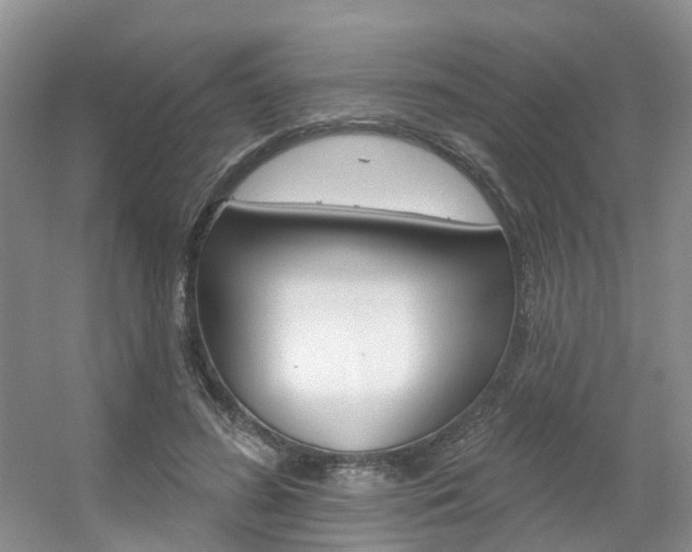 X0000056310596200508260827