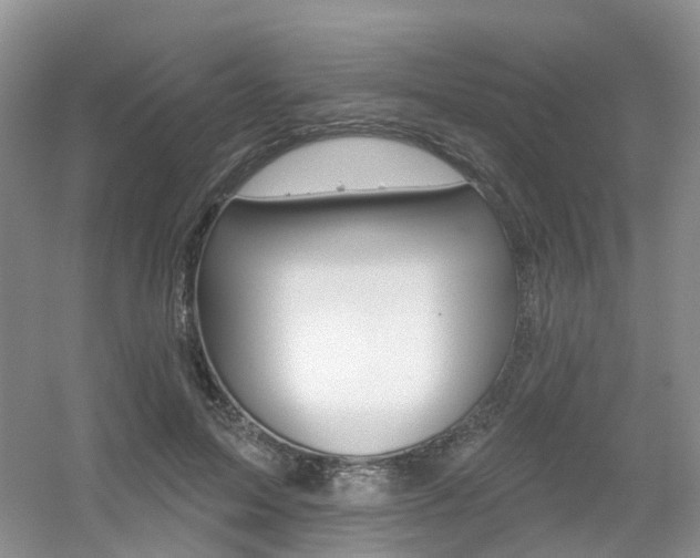X0000056310599200508260827