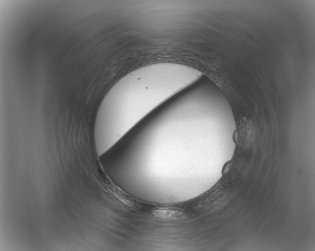X0000056310614200508260826