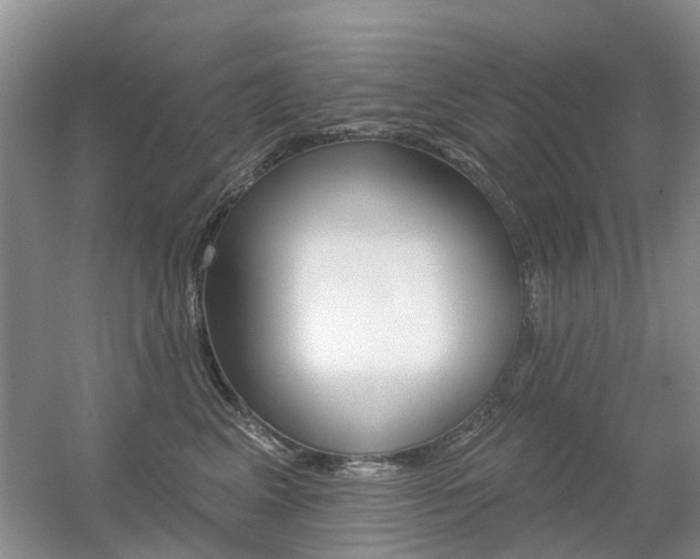 X0000056310617200508260826