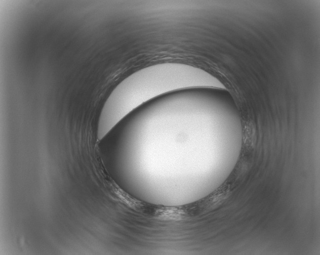 X0000056310621200508260826