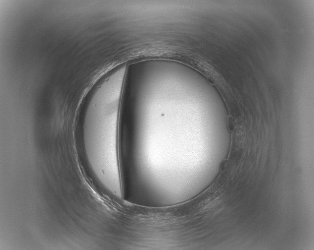 X0000056310626200508260825