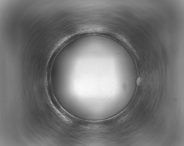 X0000056310629200508260826