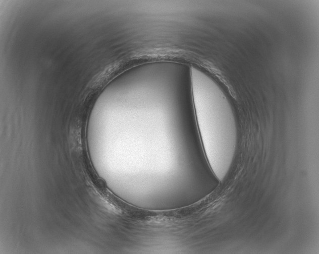 X0000056310633200508260826