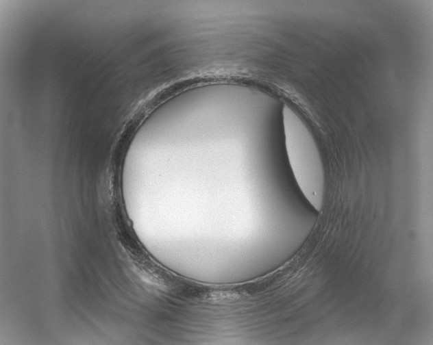 X0000056310636200508260826