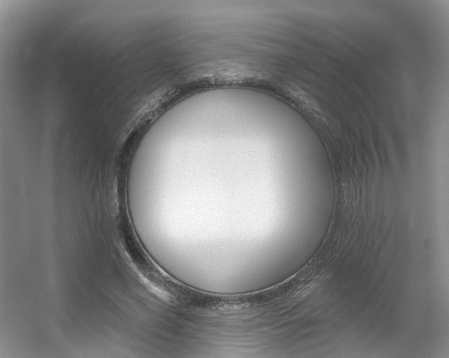 X0000056310638200508260826