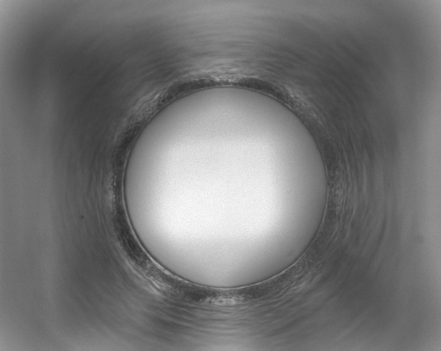 X0000056310639200508260826