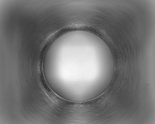 X0000056310640200508260826