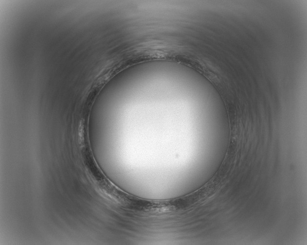 X0000056310646200508260826