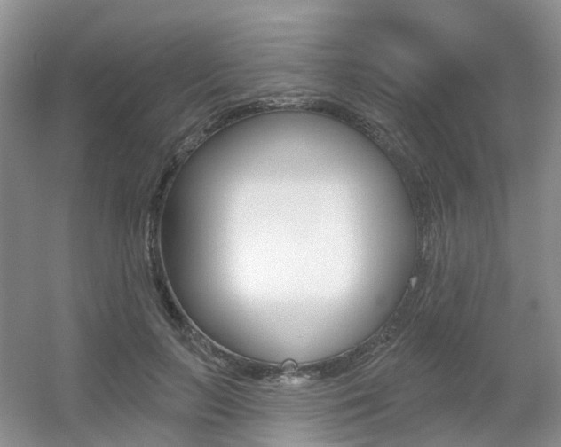 X0000056310647200508260826