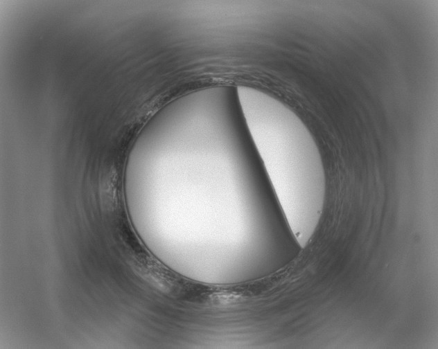 X0000056310650200508260826