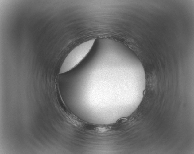 X0000056310662200508260826
