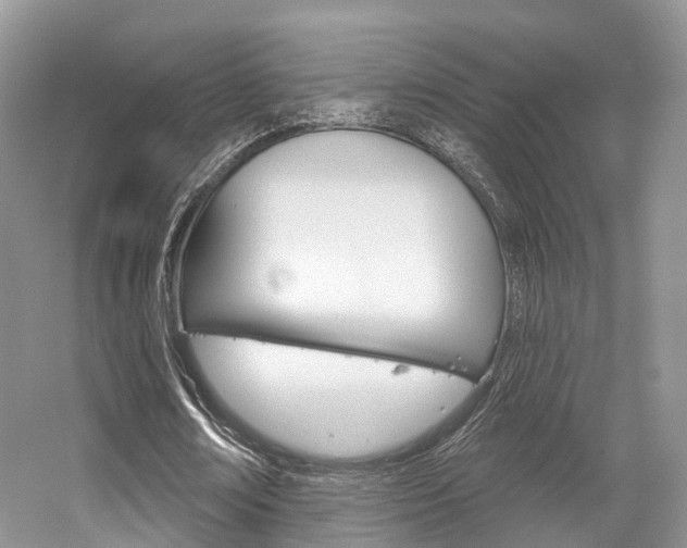 X0000056310674200508260825